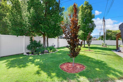 Tiny photo for 321 E 800 S, Springville, UT 84663 (MLS # 2173760)