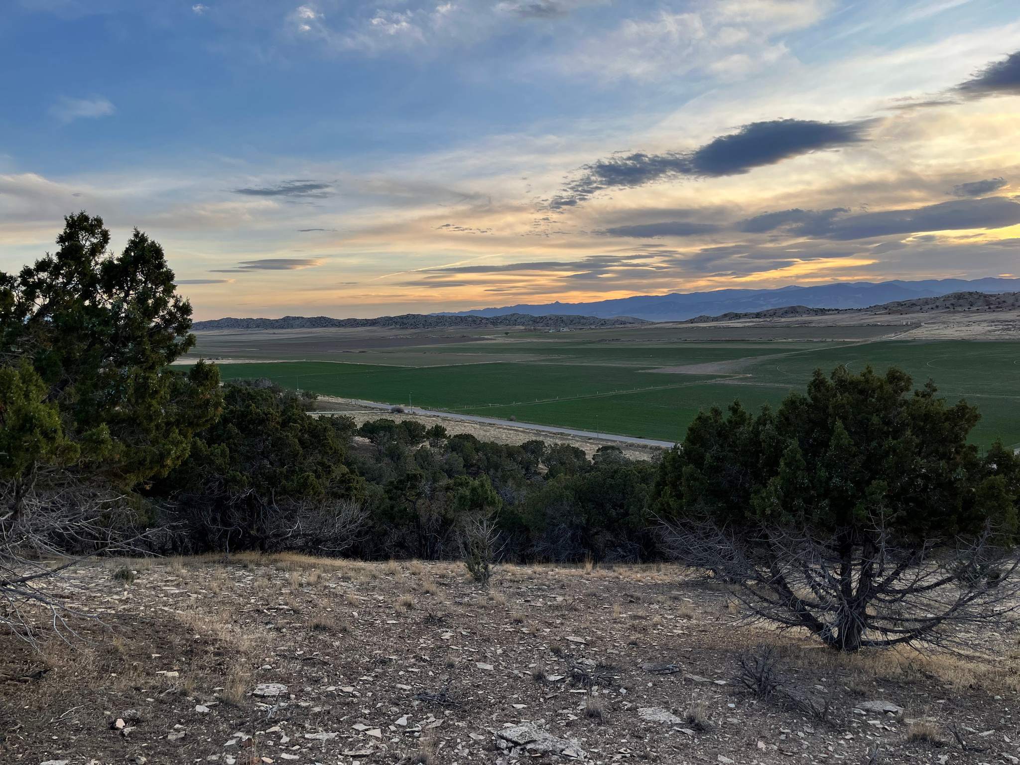 SOUTHFIELD HEIGHTS - Land