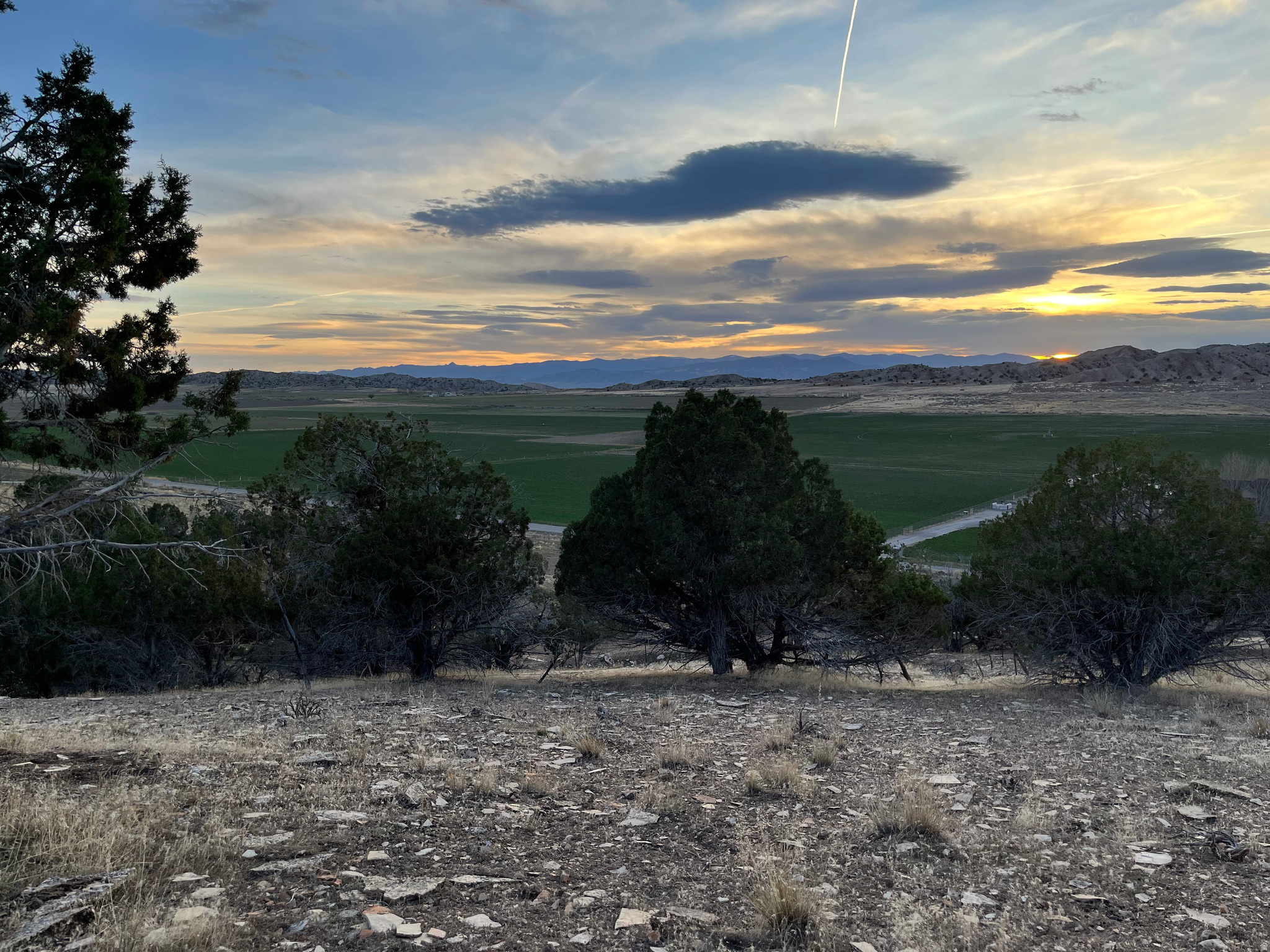 SOUTHFIELD HEIGHTS - Land