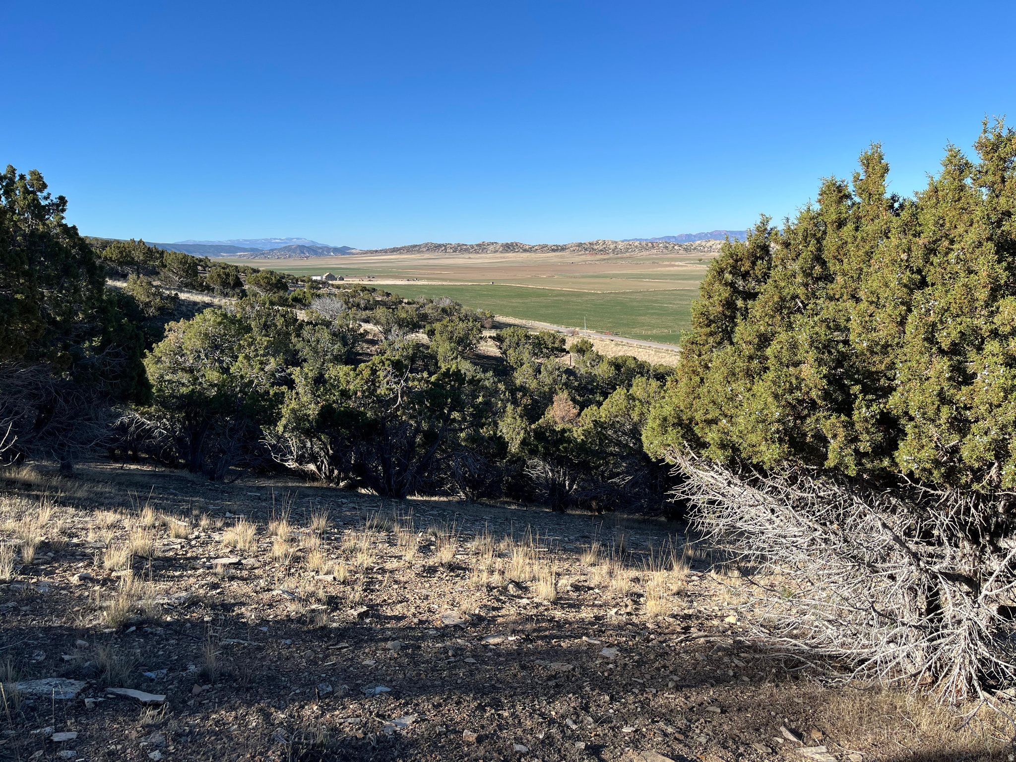 SOUTHFIELD HEIGHTS - Land