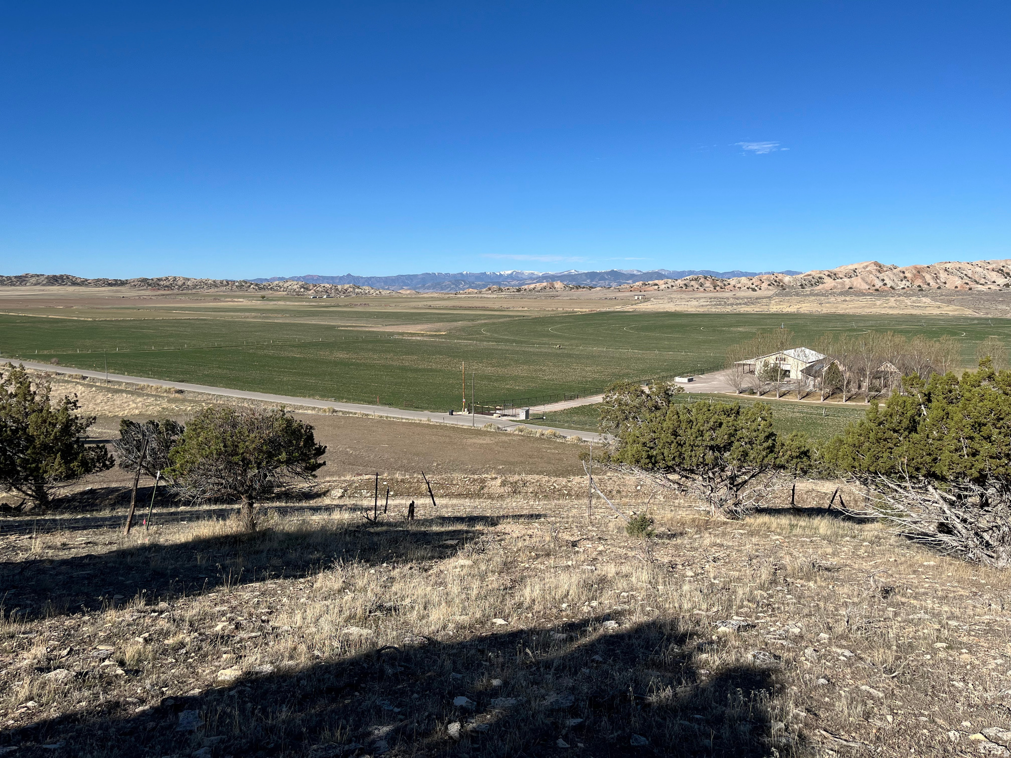 SOUTHFIELD HEIGHTS - Land