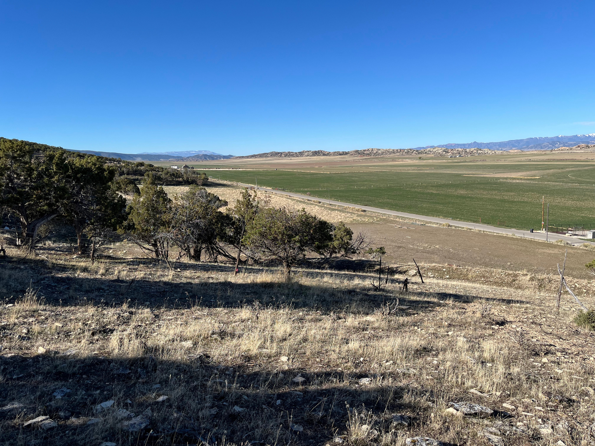 SOUTHFIELD HEIGHTS - Land