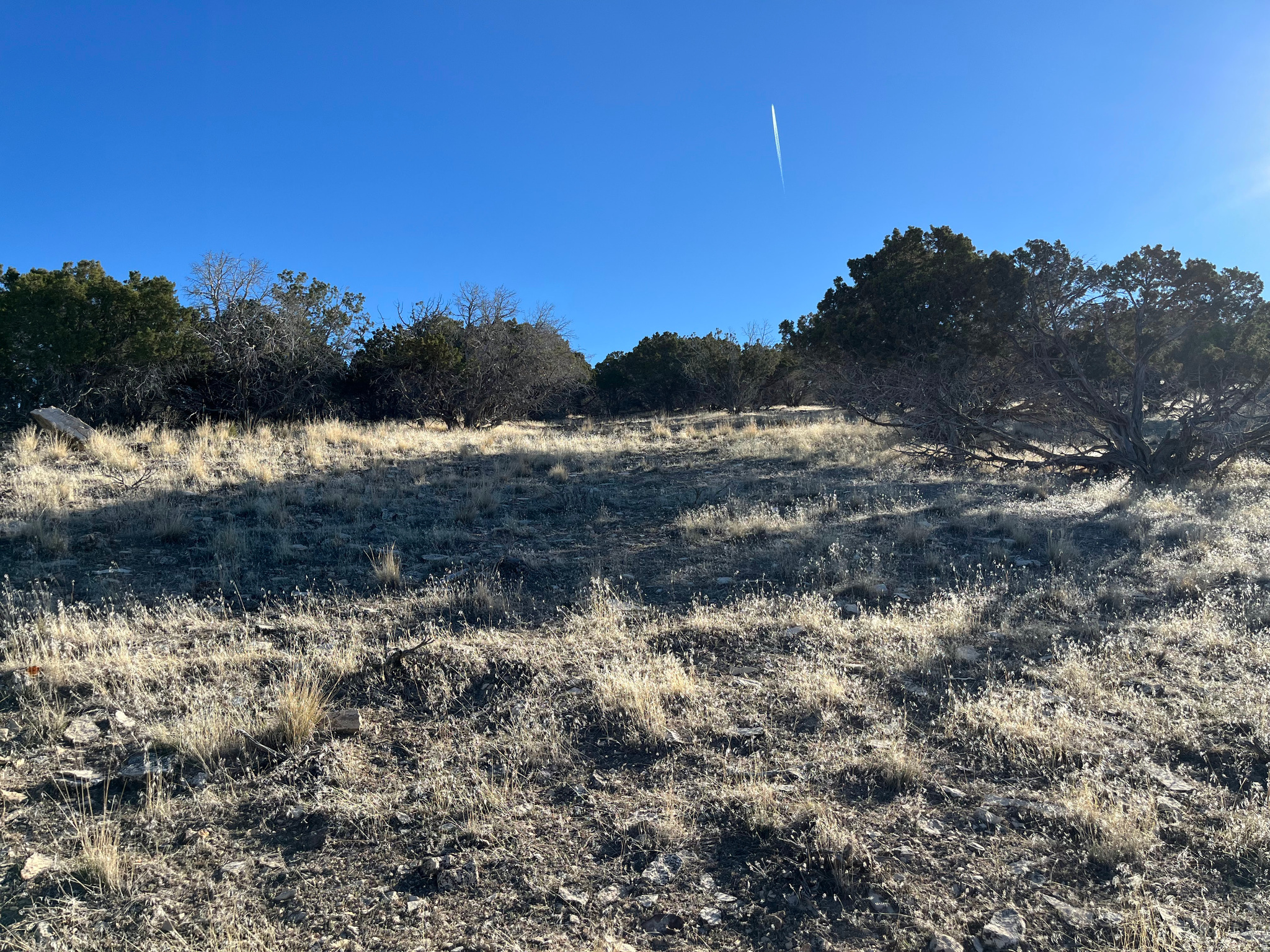 SOUTHFIELD HEIGHTS - Land