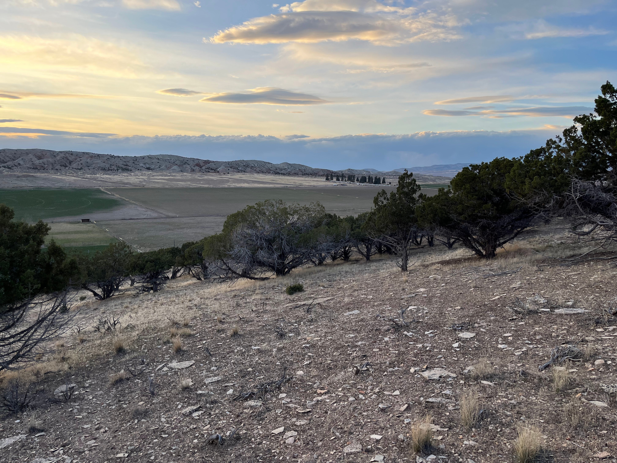 SOUTHFIELD HEIGHTS - Land