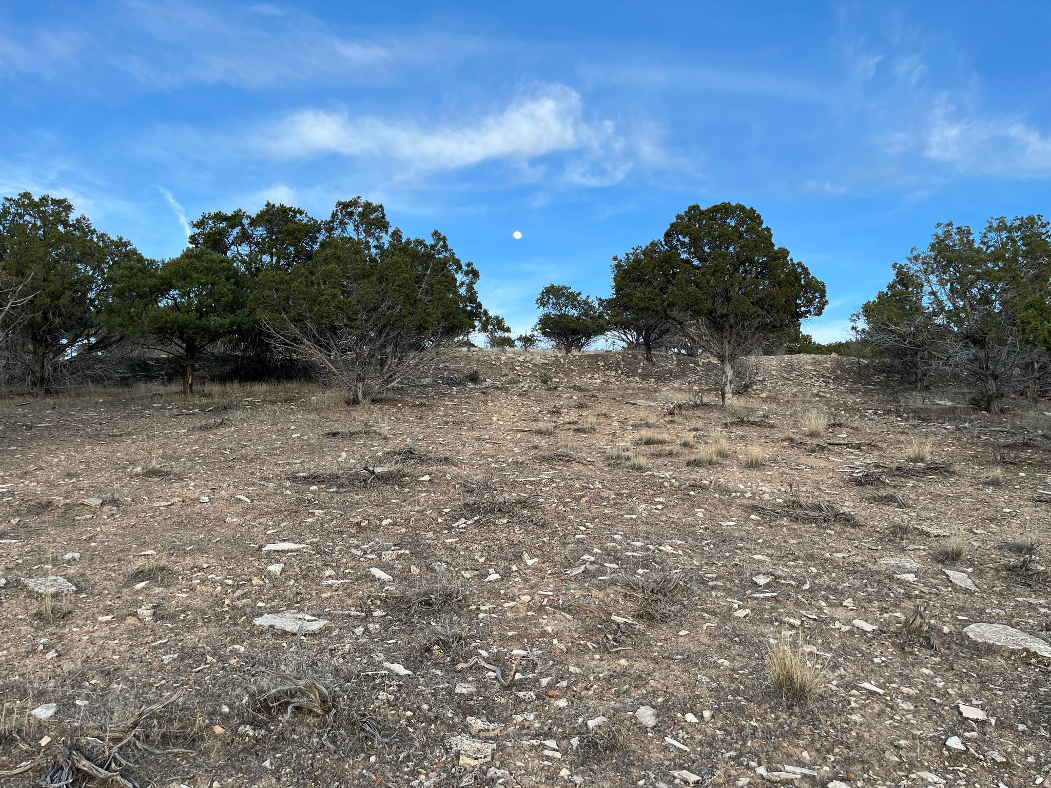 SOUTHFIELD HEIGHTS - Land