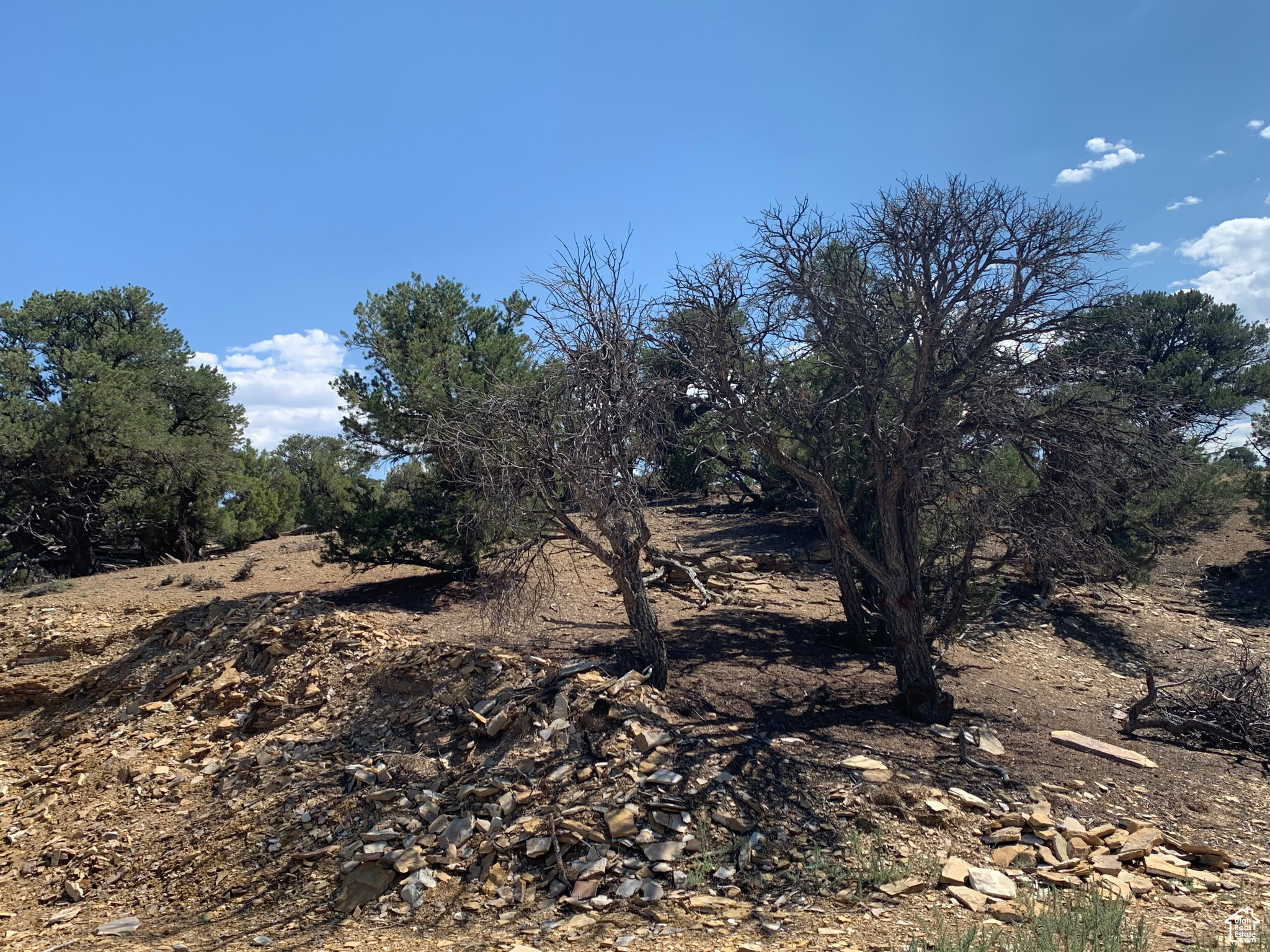 Land, Duchesne, Utah image 6