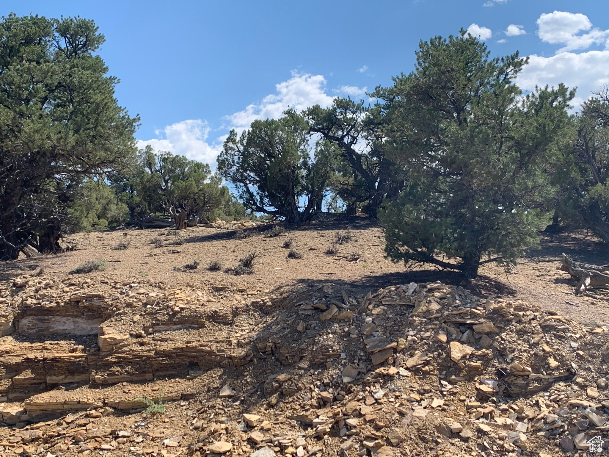 Land, Duchesne, Utah image 15