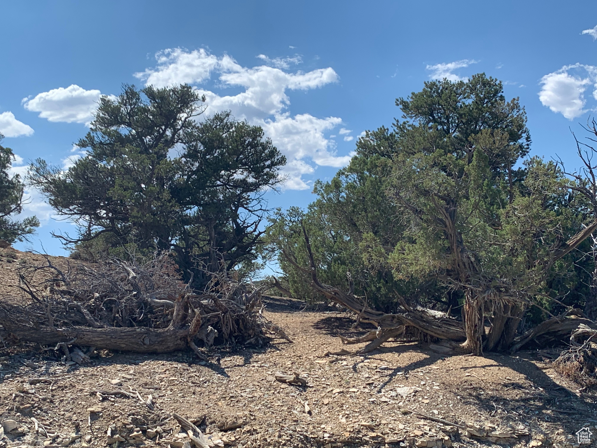 Land, Duchesne, Utah image 16