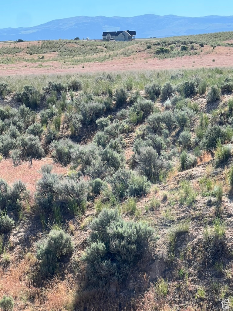 Land, Levan, Utah image 5