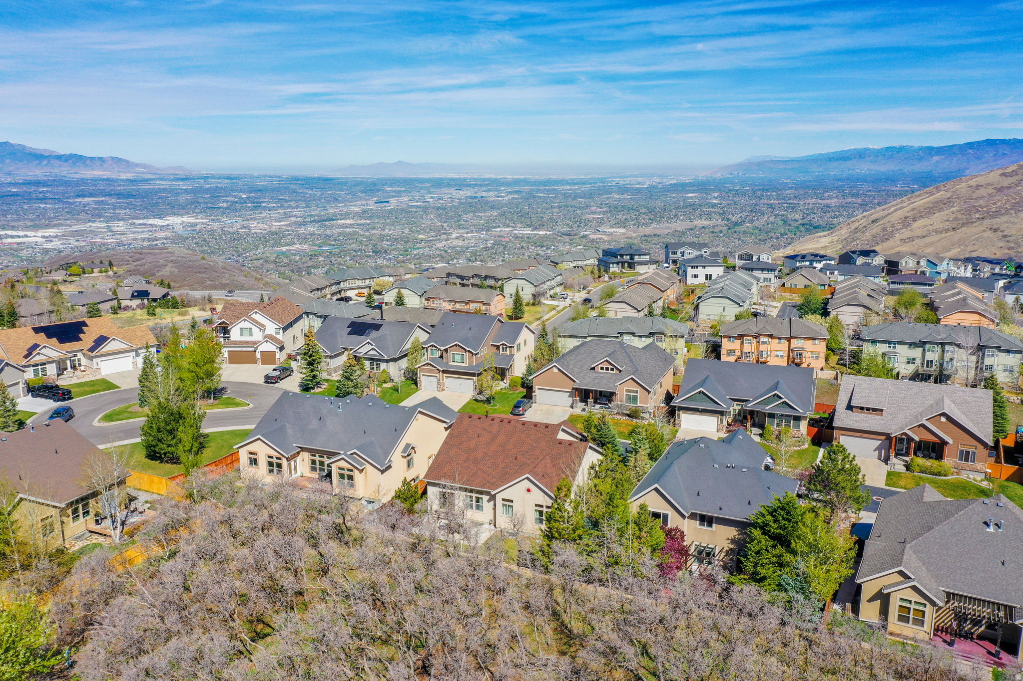 OAK VISTA - Residential