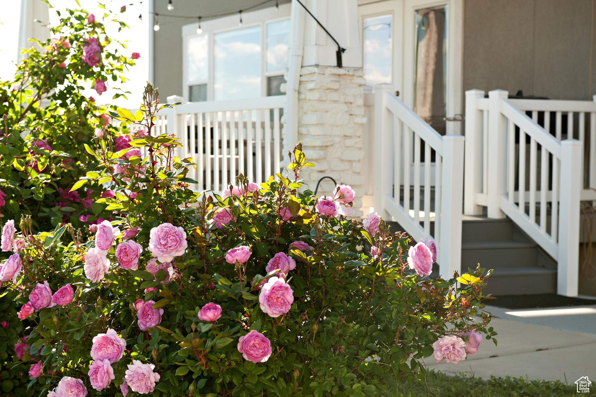 THE MEADOWS AT THE HOMESTEADS - Residential