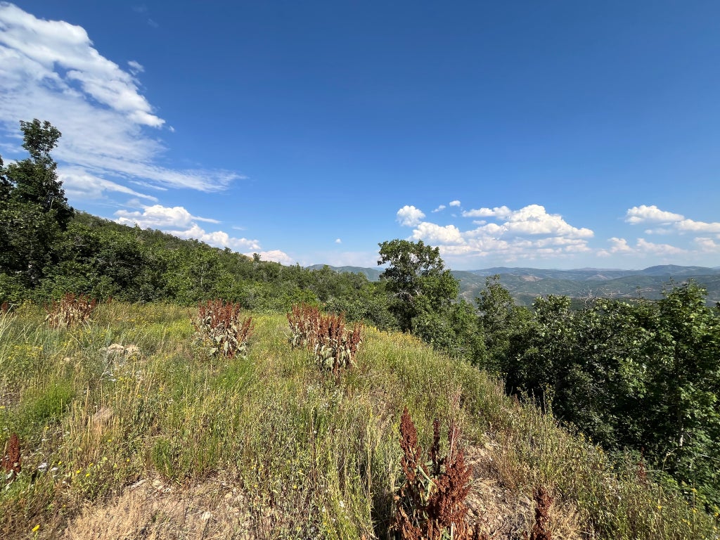 Photo of LOT 88, #88, Springville, UT 84663 (MLS # 2179389)