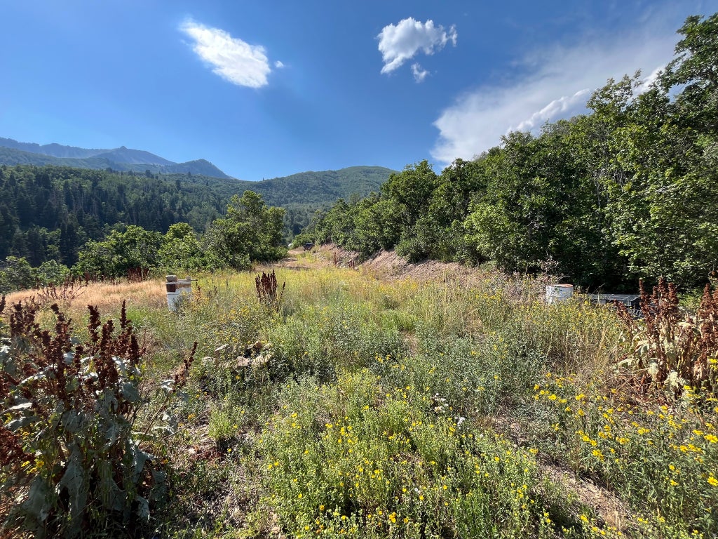 Photo of LOT 88, #88, Springville, UT 84663 (MLS # 2179389)