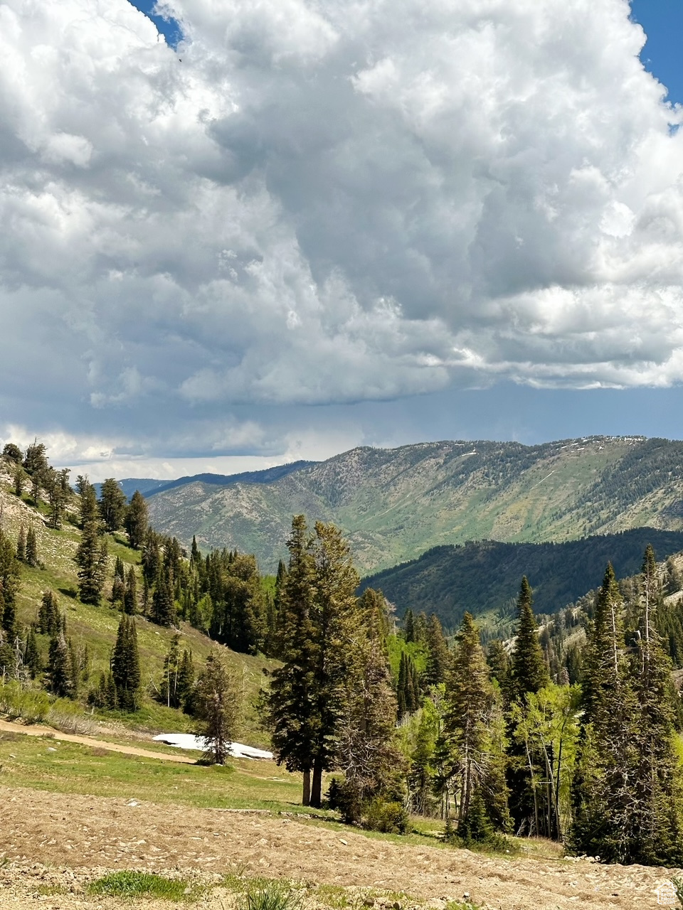THE VILLAGE AT WOLF CREEK - Residential