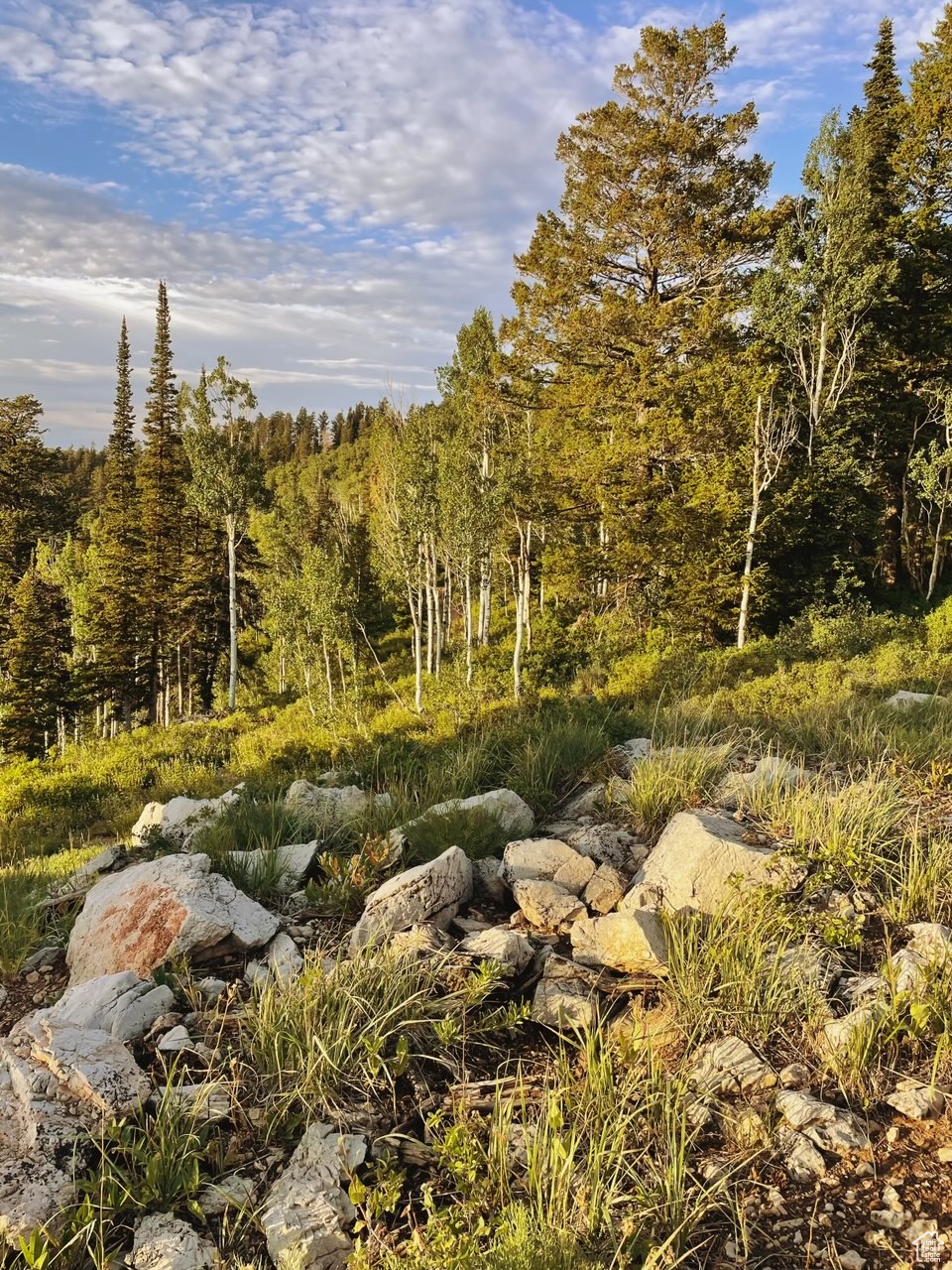 THE VILLAGE AT WOLF CREEK - Residential