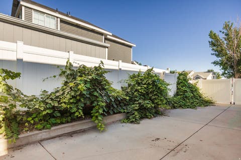 Tiny photo for 3295 W 8475 S, West Jordan, UT 84088 (MLS # 2173062)