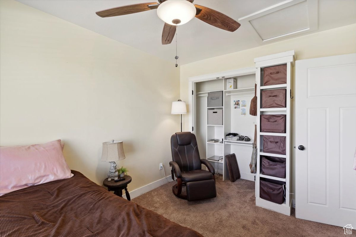 THE COVE - Residential