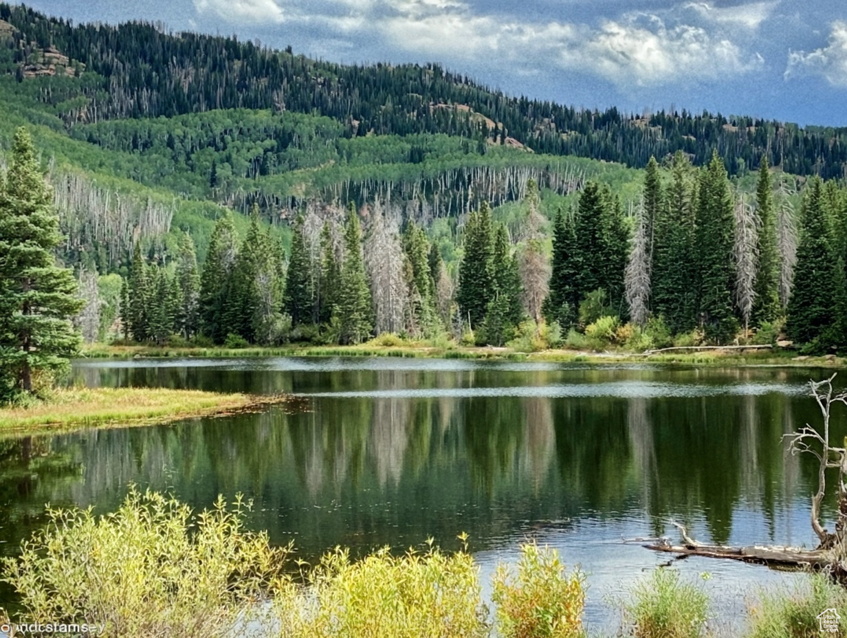 TIMBER LAKES - Residential