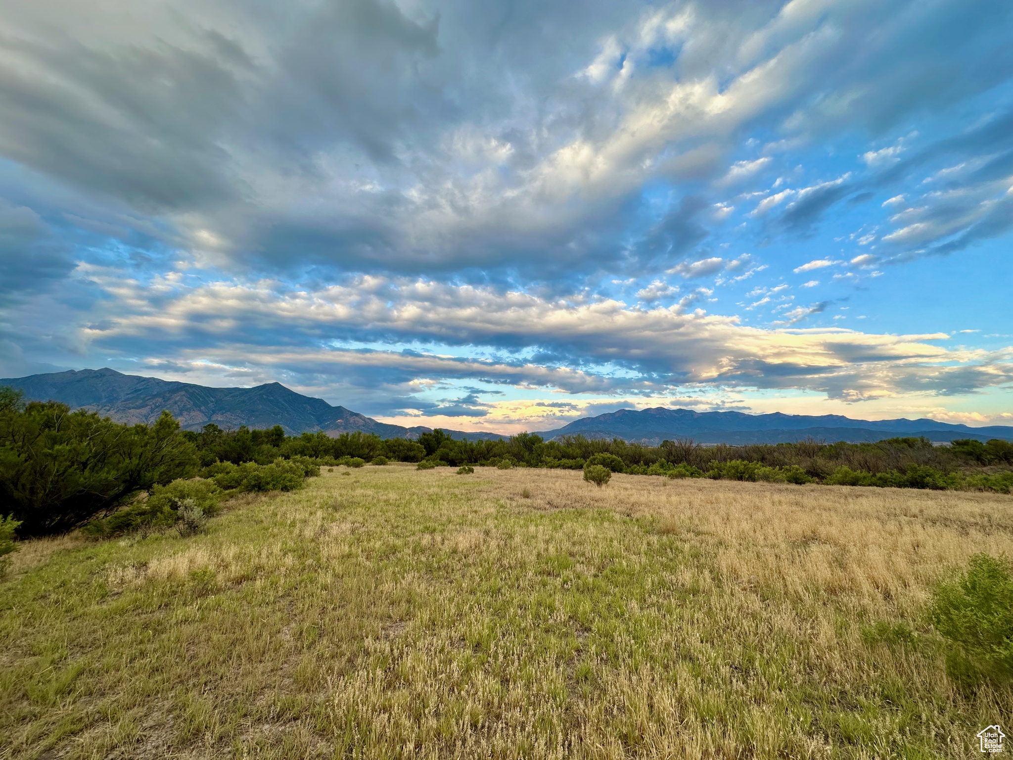 3659 W Turkey Ln, Nephi, Utah image 12