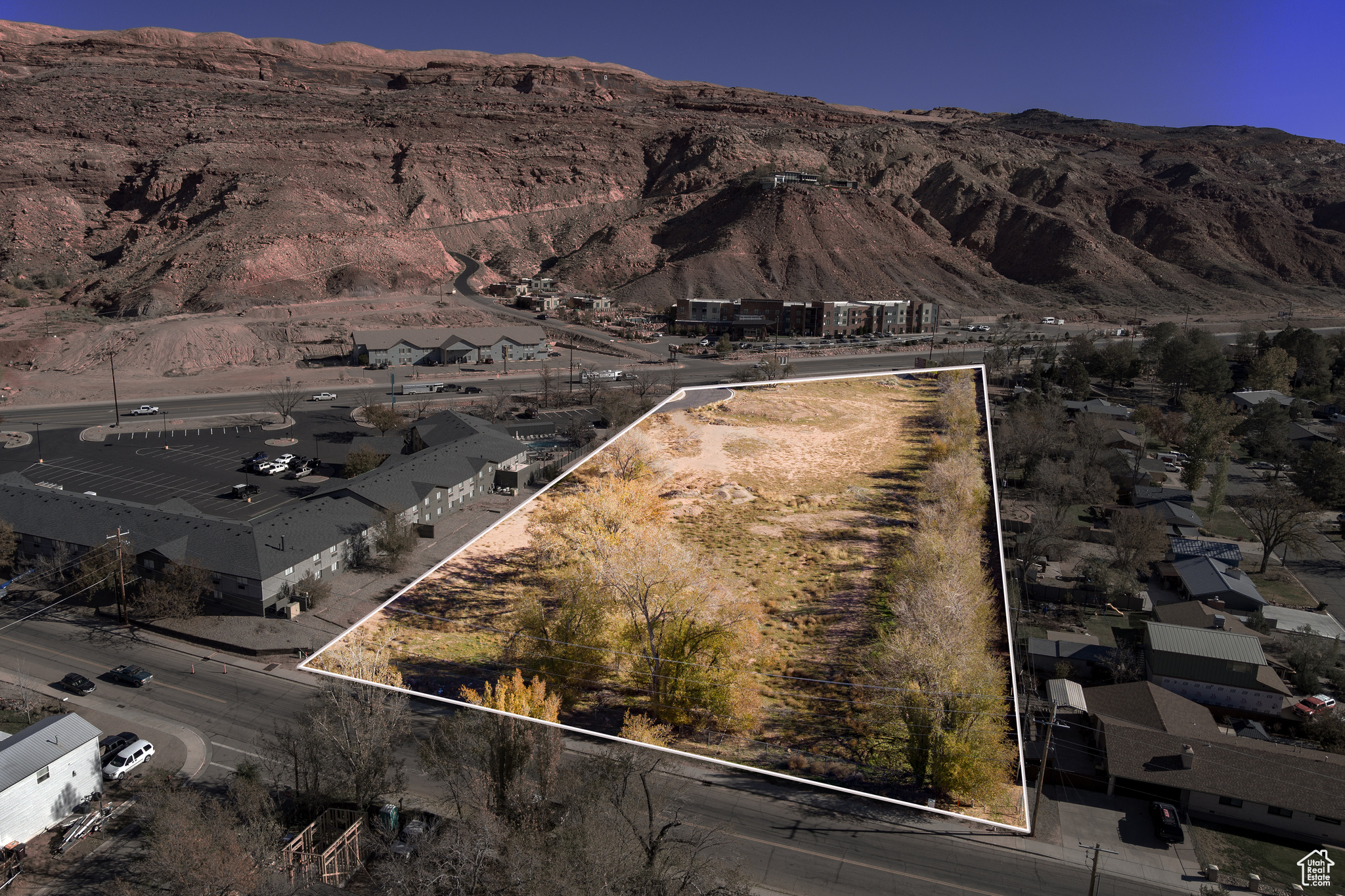 SUNFLOWER - Commercial Sale