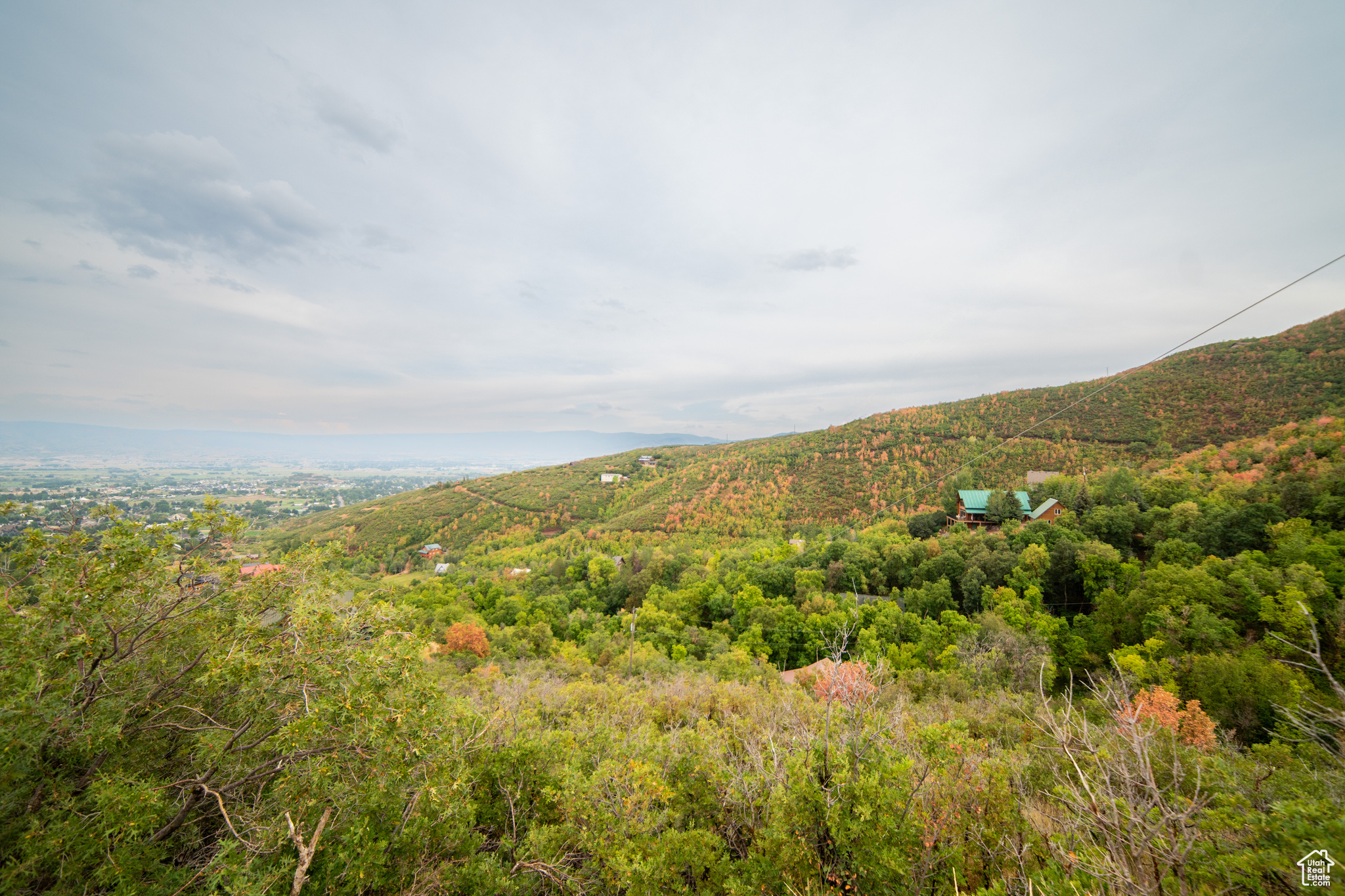 SWISS MOUNTAIN ESTATES - Residential