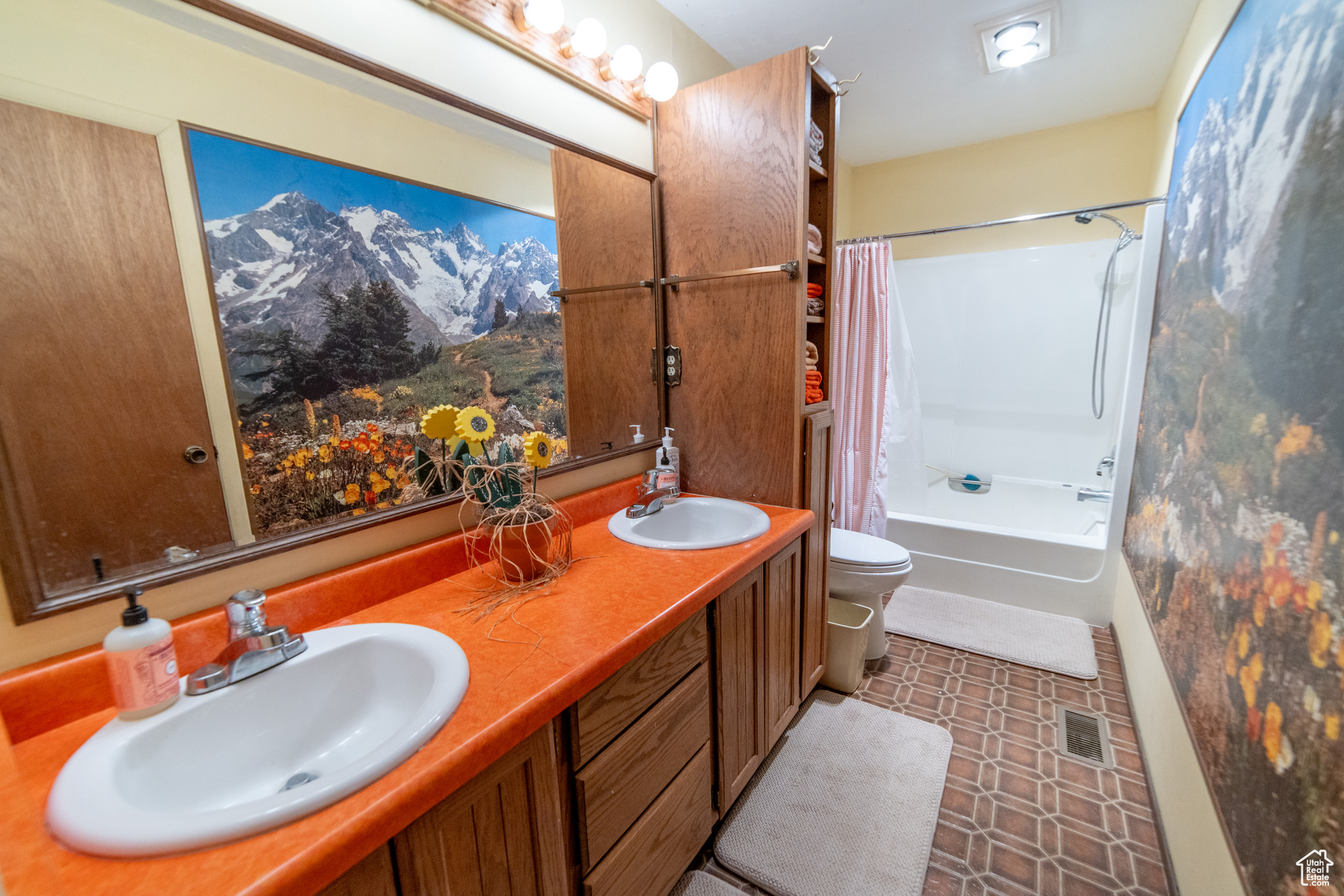 SWISS MOUNTAIN ESTATES - Residential