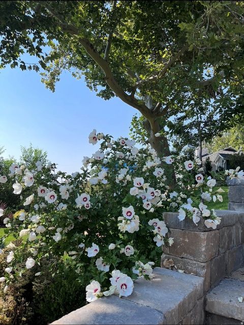 Tiny photo for 786 E ELEVENTH AVE N, Salt Lake City, UT 84103 (MLS # 2140446)