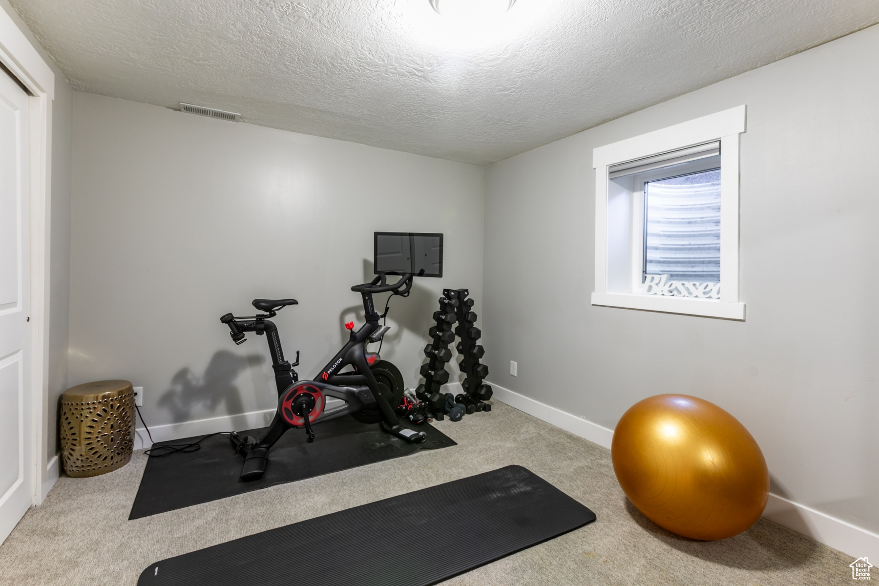 BLUE RIBBON ACRES - Residential