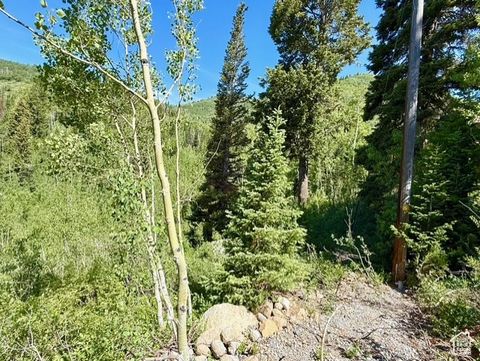 Tiny photo for 10215 E MOOSE RD #1, Brighton, UT 84121 (MLS # 2095092)