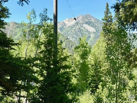 Tiny photo for 10215 E MOOSE RD #1, Brighton, UT 84121 (MLS # 2095092)