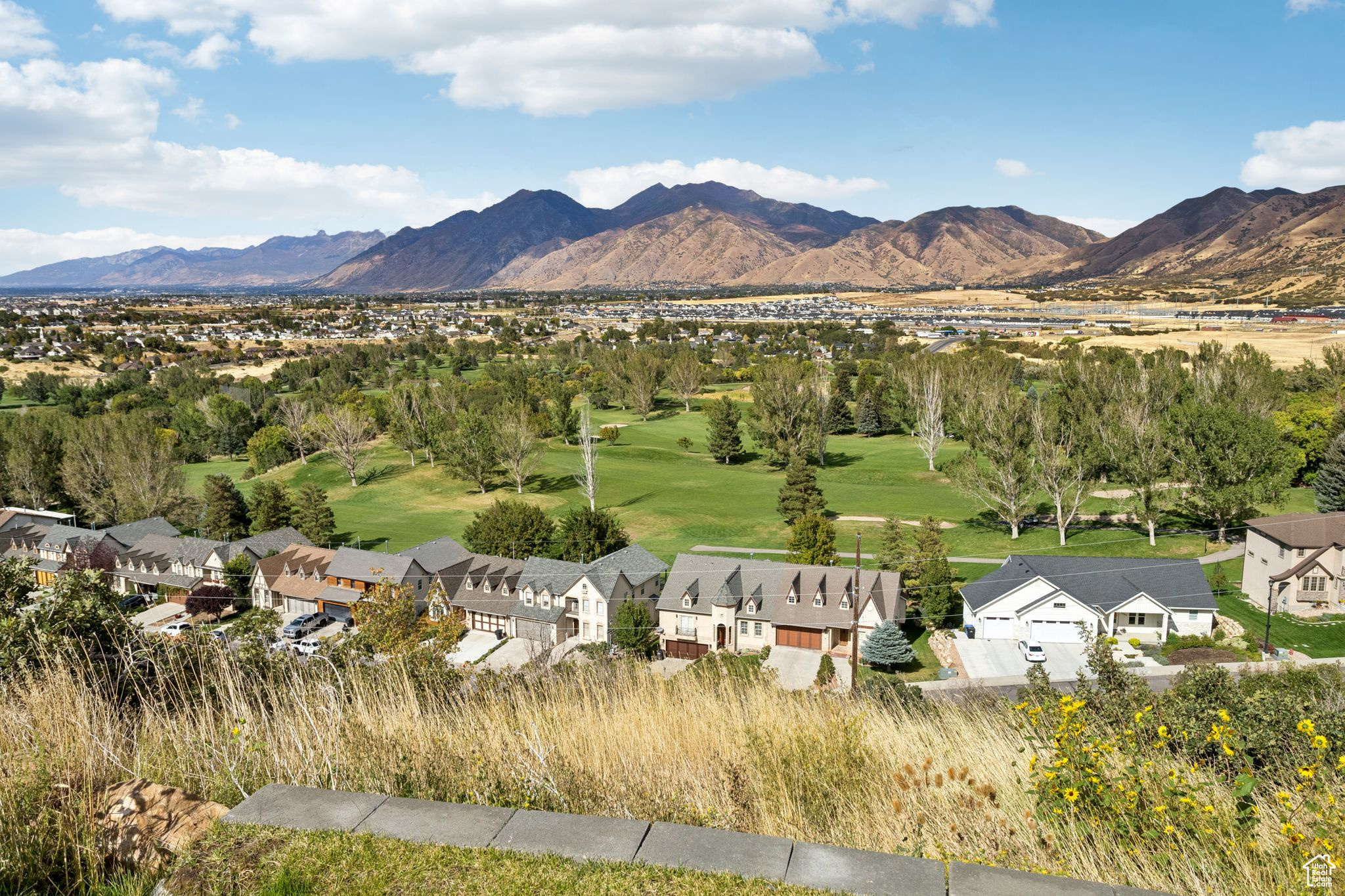 OAKRIDGE COVE - Residential