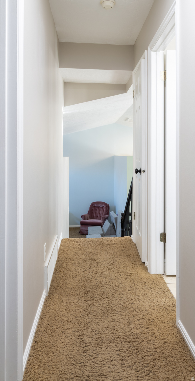 CHELSIE PARK - Residential