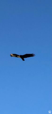 DIXIE DEER EST 3 - Residential