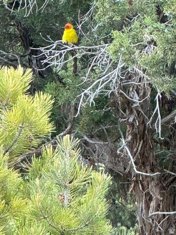 DIXIE DEER EST 3 - Residential