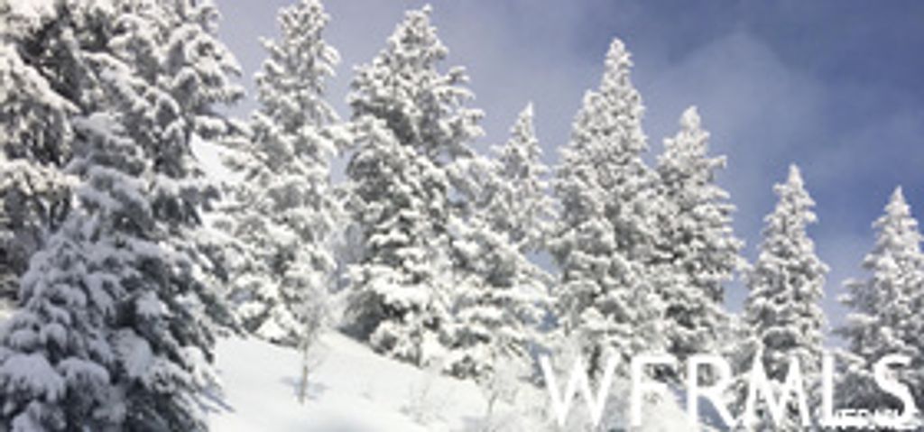 Photo of 6774 CHAPARRAL DR, Eden, UT 84310 (MLS # 1885171)