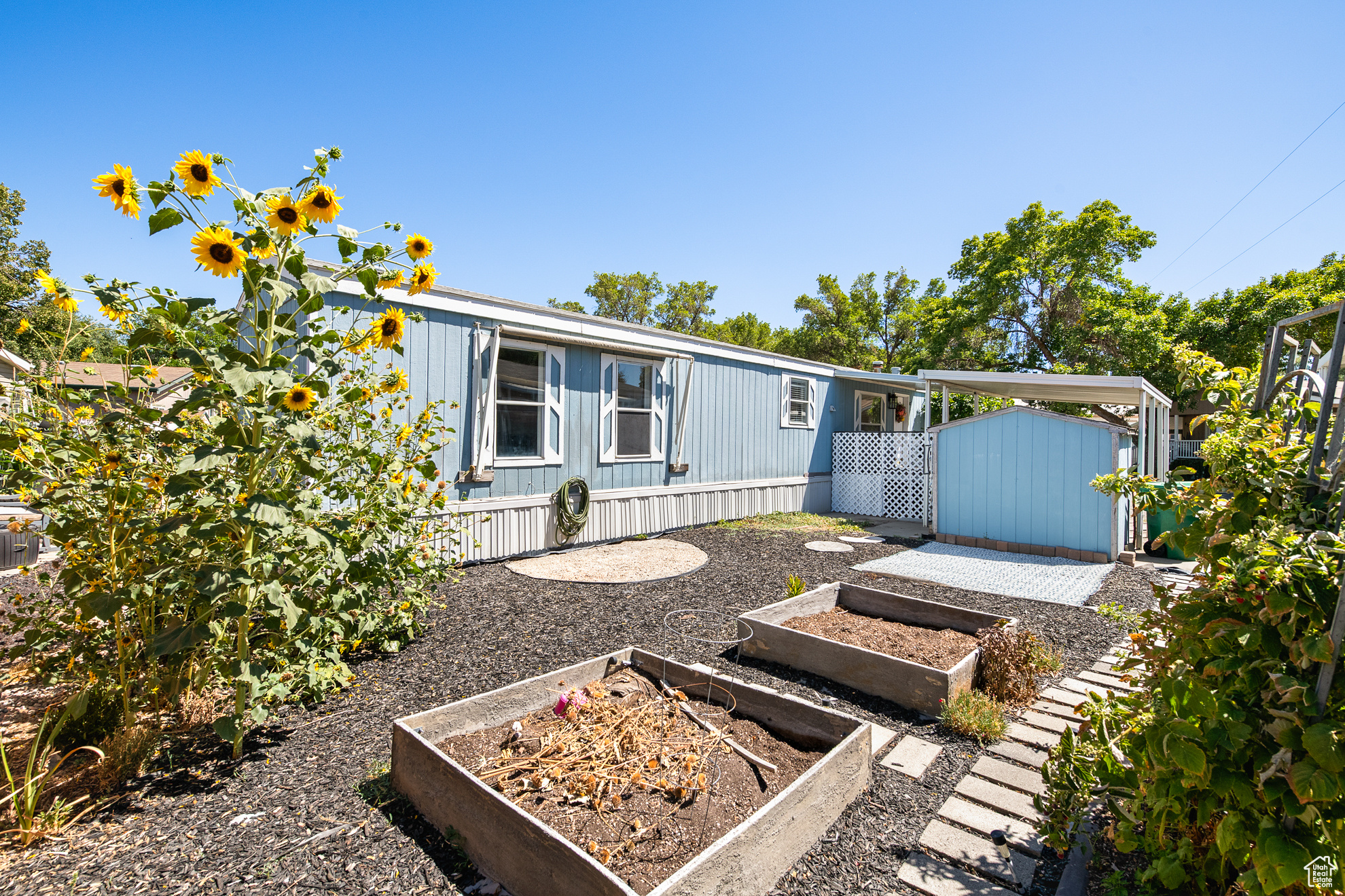 COTTONWOOD COVES - Residential