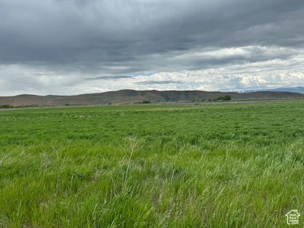 Photo of 3200 N 4400 W #1, Clifton, ID 83228 (MLS # 2118215)