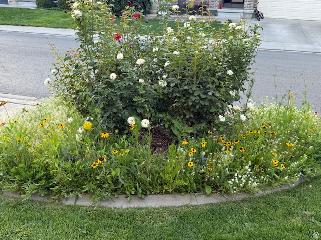 THANKSGIVING MEADOWS PUD - Residential