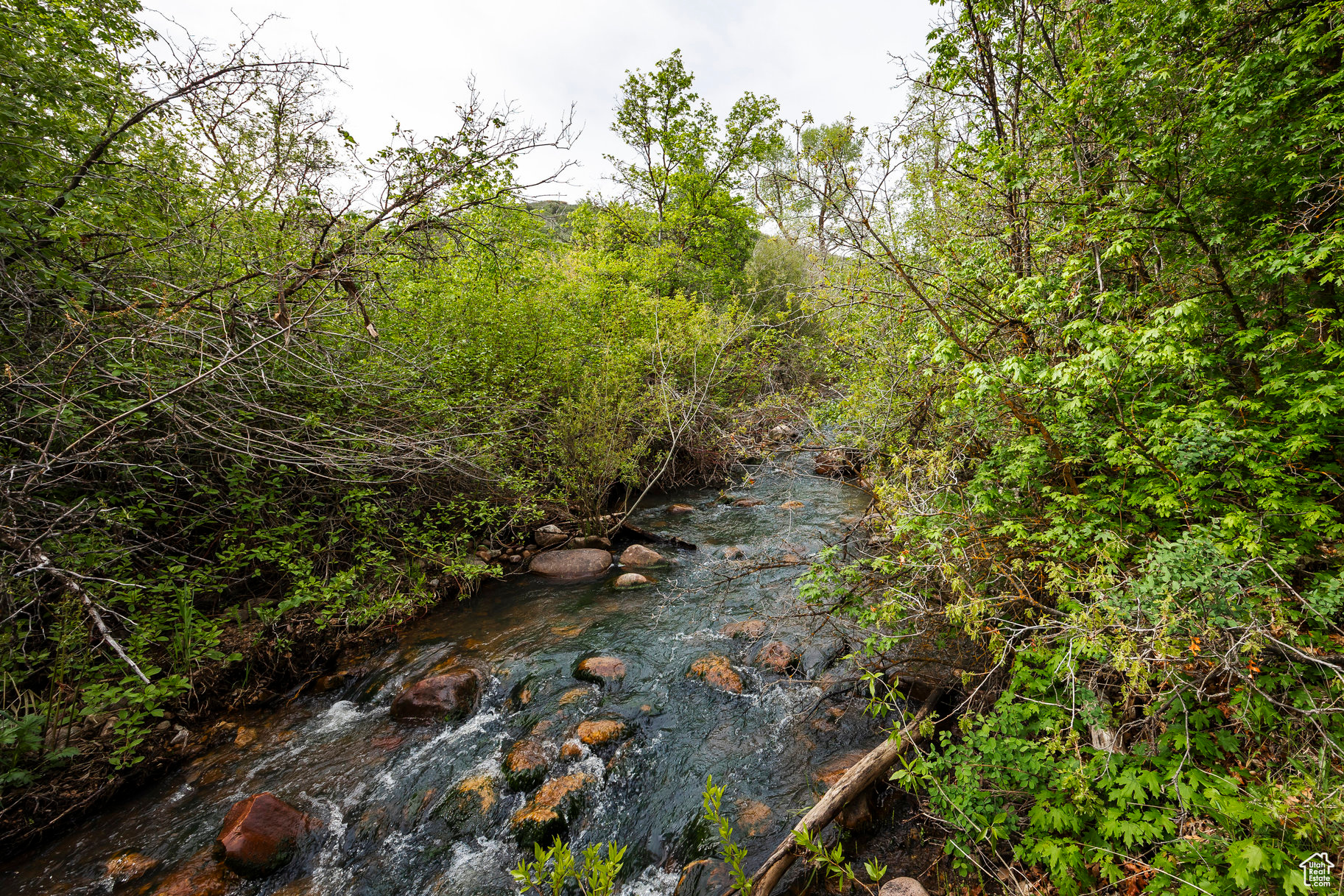 2334 S Falcon Way, Huntsville, Utah image 3