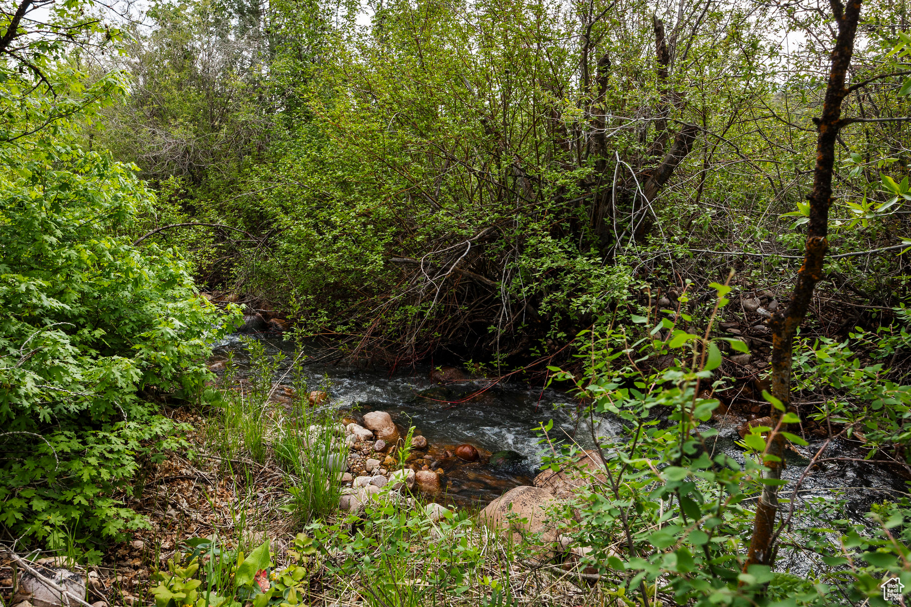 2334 S Falcon Way, Huntsville, Utah image 8