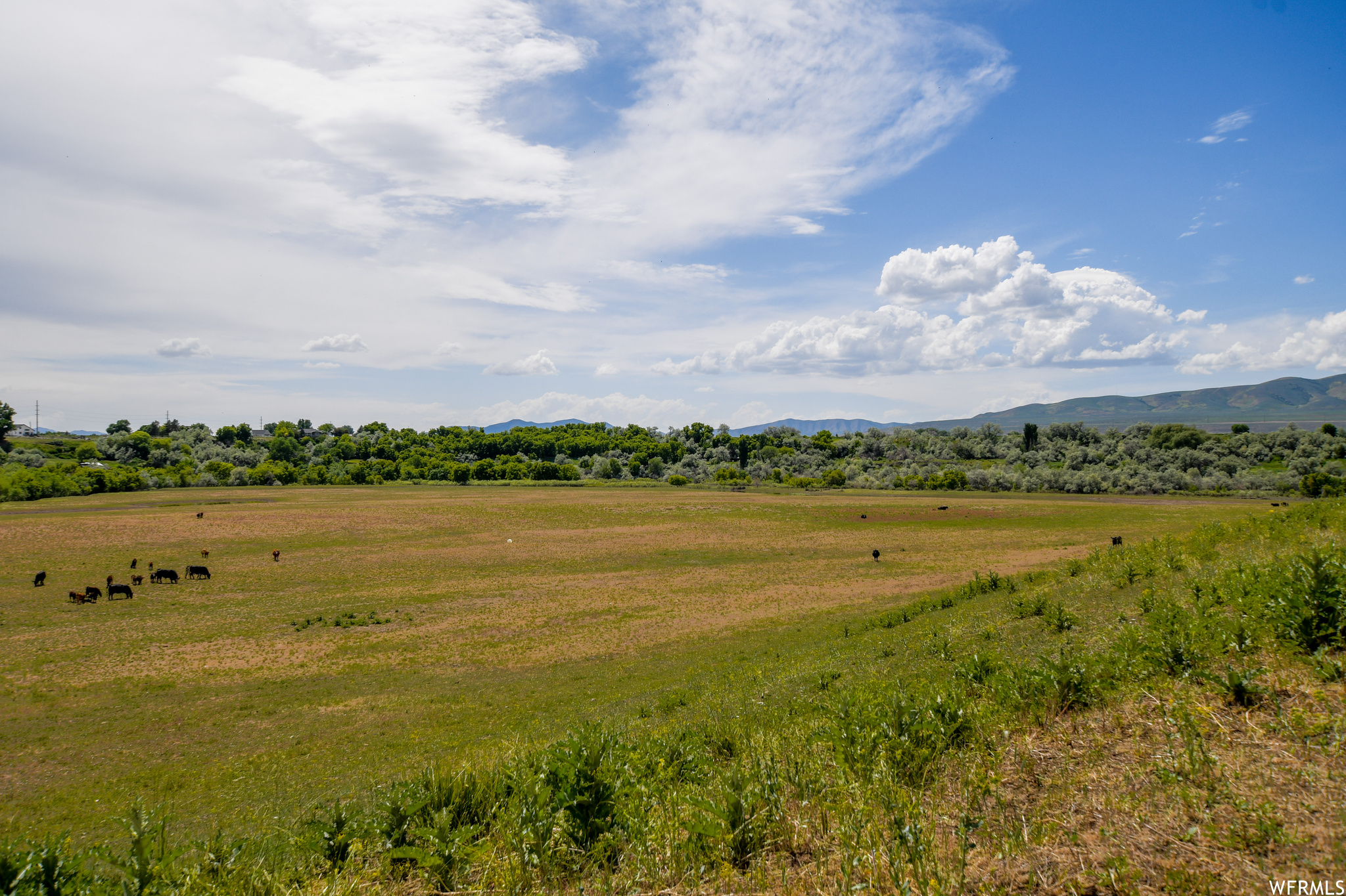 Land, Deweyville, Utah image 7