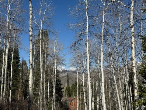 Tiny photo for 663 RED FIR WAY #663, Oakley, UT 84055 (MLS # 2084839)