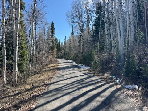 Tiny photo for 663 RED FIR WAY #663, Oakley, UT 84055 (MLS # 2084839)