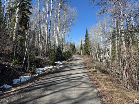 Tiny photo for 663 RED FIR WAY #663, Oakley, UT 84055 (MLS # 2084839)