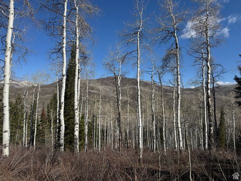 Tiny photo for 663 RED FIR WAY #663, Oakley, UT 84055 (MLS # 2084839)
