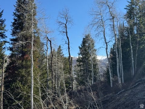 Tiny photo for 663 RED FIR WAY #663, Oakley, UT 84055 (MLS # 2084839)
