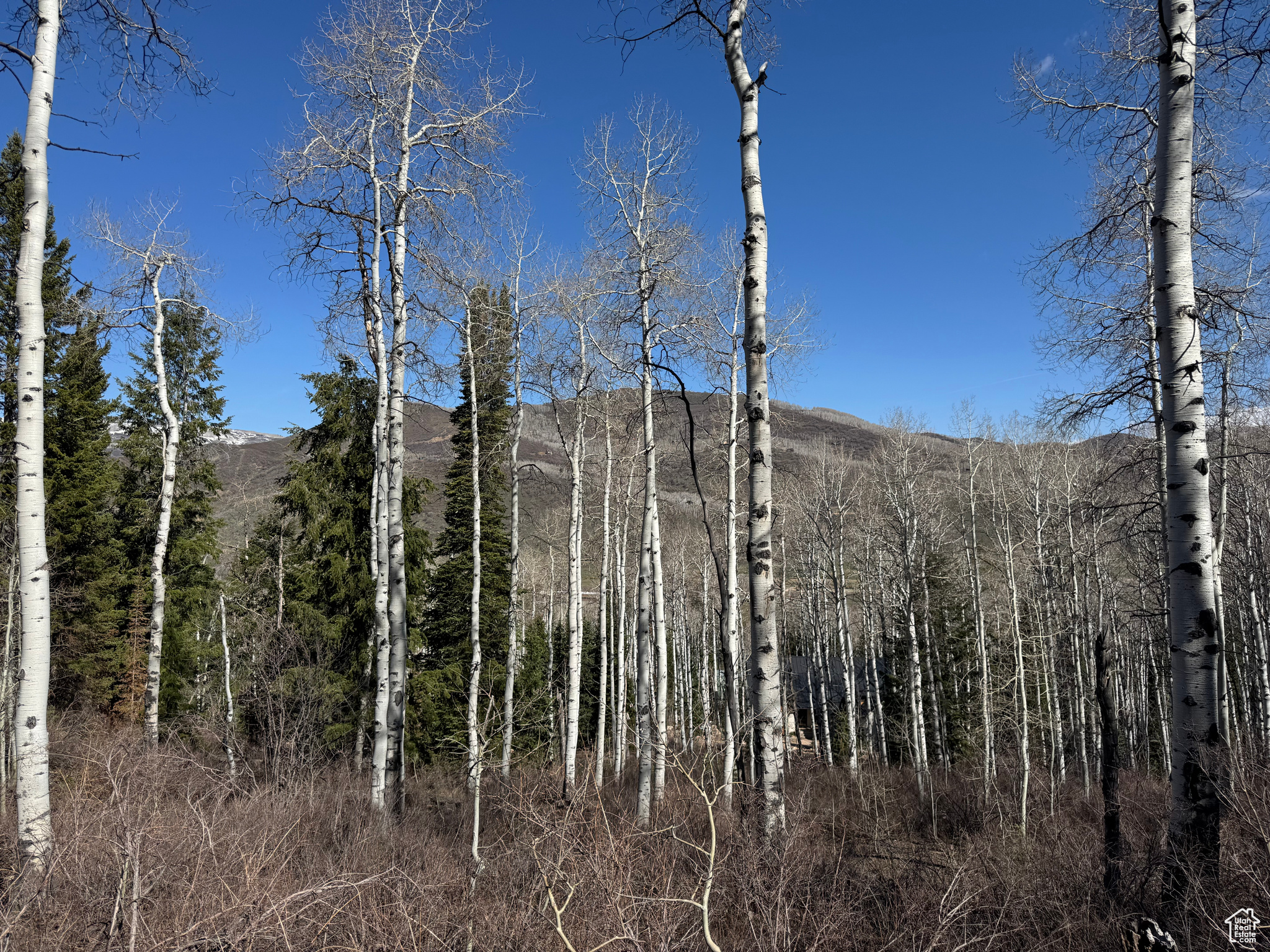 PINE MOUNTAIN - Land