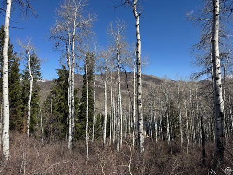 Tiny photo for 663 RED FIR WAY #663, Oakley, UT 84055 (MLS # 2084839)