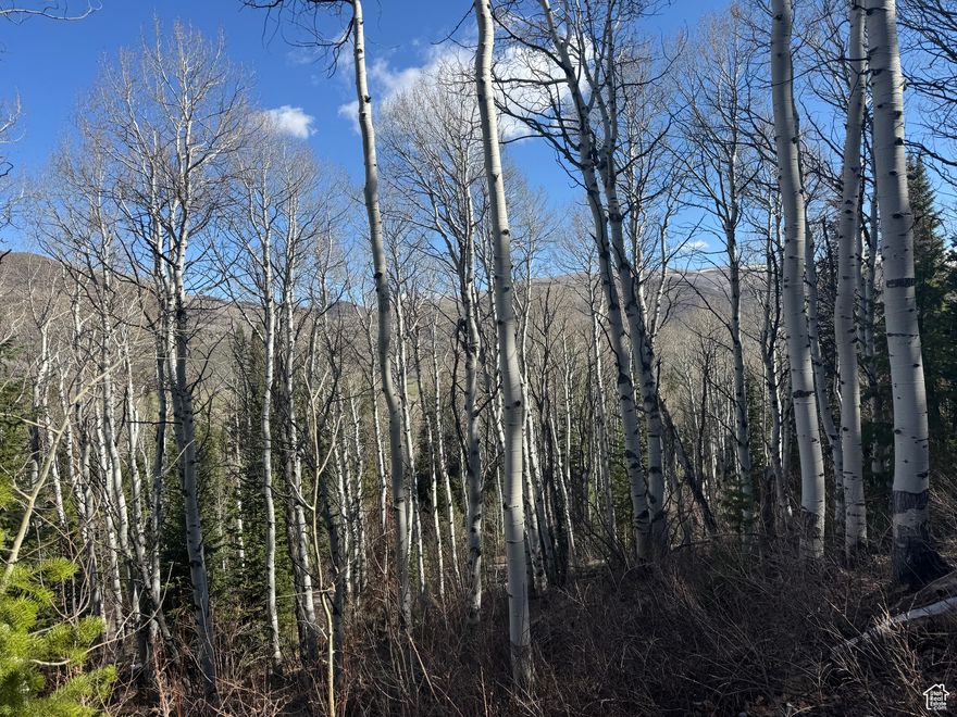 Have you always wanted a getaway to escape the heat during summer? Look no further than this Pine Mountain lot nestled amongst the Aspens and Pines with distant mountain ridgeline views - an ideal spot to escape to providing privacy and space to relax with family and friends with a perfect blend of natural beauty and convenient access. Pine Mountain subdivision has private access into the Uinta National Forest for endless exploration. Enjoy nearby Blue-Ribbon fishing in the renowned Weber River, endless hiking, riding, skiing, boating, horseback riding, snowmobiling, and access to ATV trails. Just 10 minutes to Smith & Morehouse Reservoir, 12 minutes to Oakley, and 35 minutes to Park City. Winter access is via tracked-vehicle.