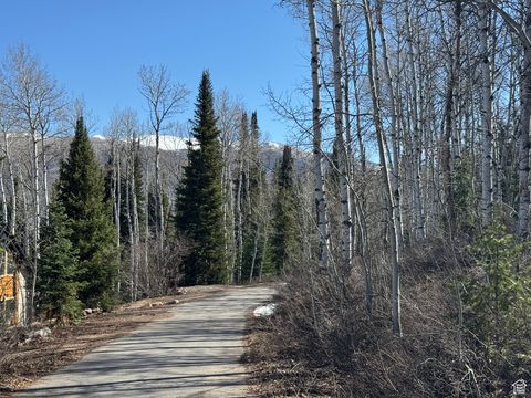 Tiny photo for 663 RED FIR WAY #663, Oakley, UT 84055 (MLS # 2084839)